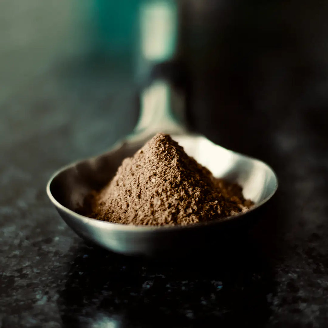 India Hemp Organics - Hemp Protein Powder - Chocolate Hazelnut