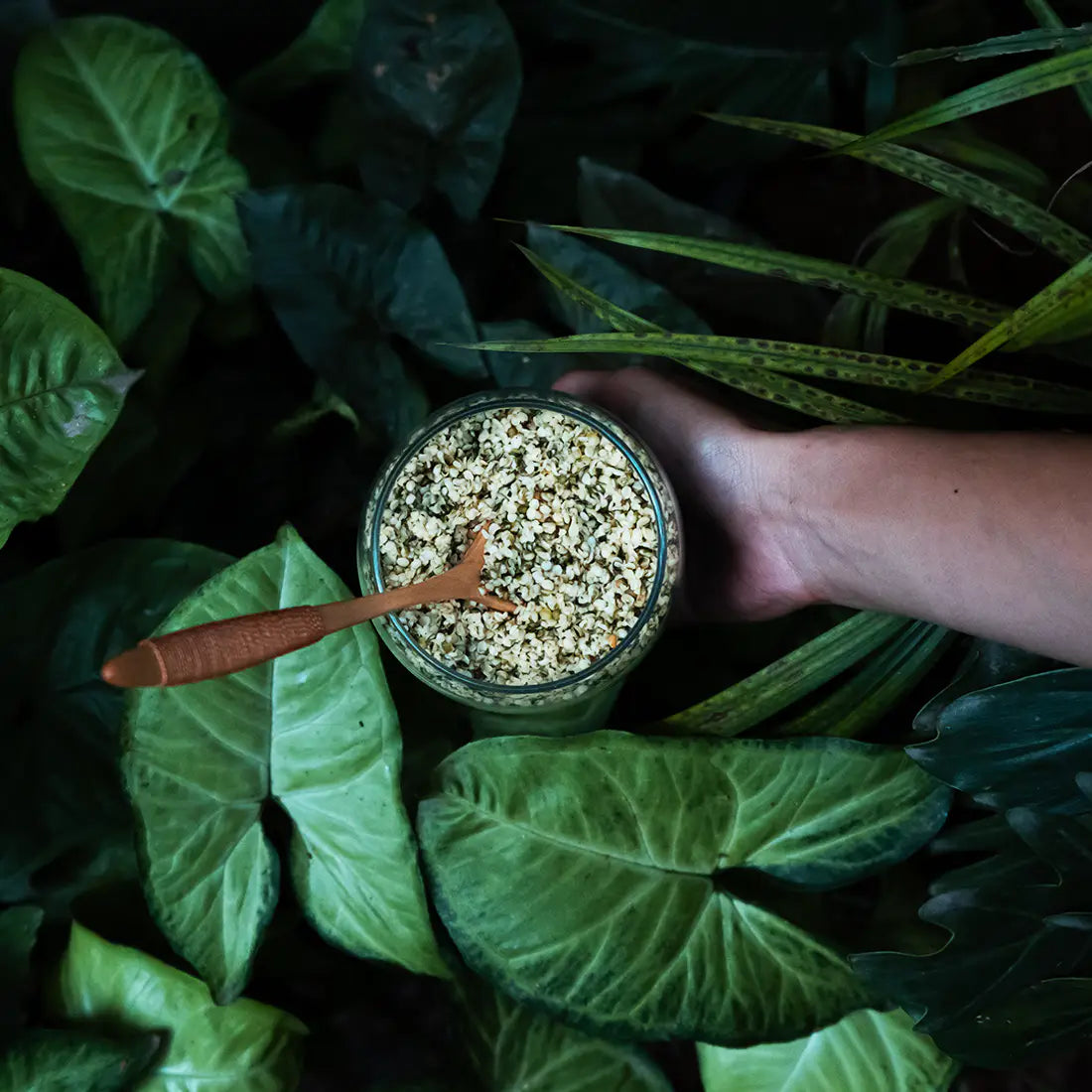 India Hemp Organics - Hemp Hearts.