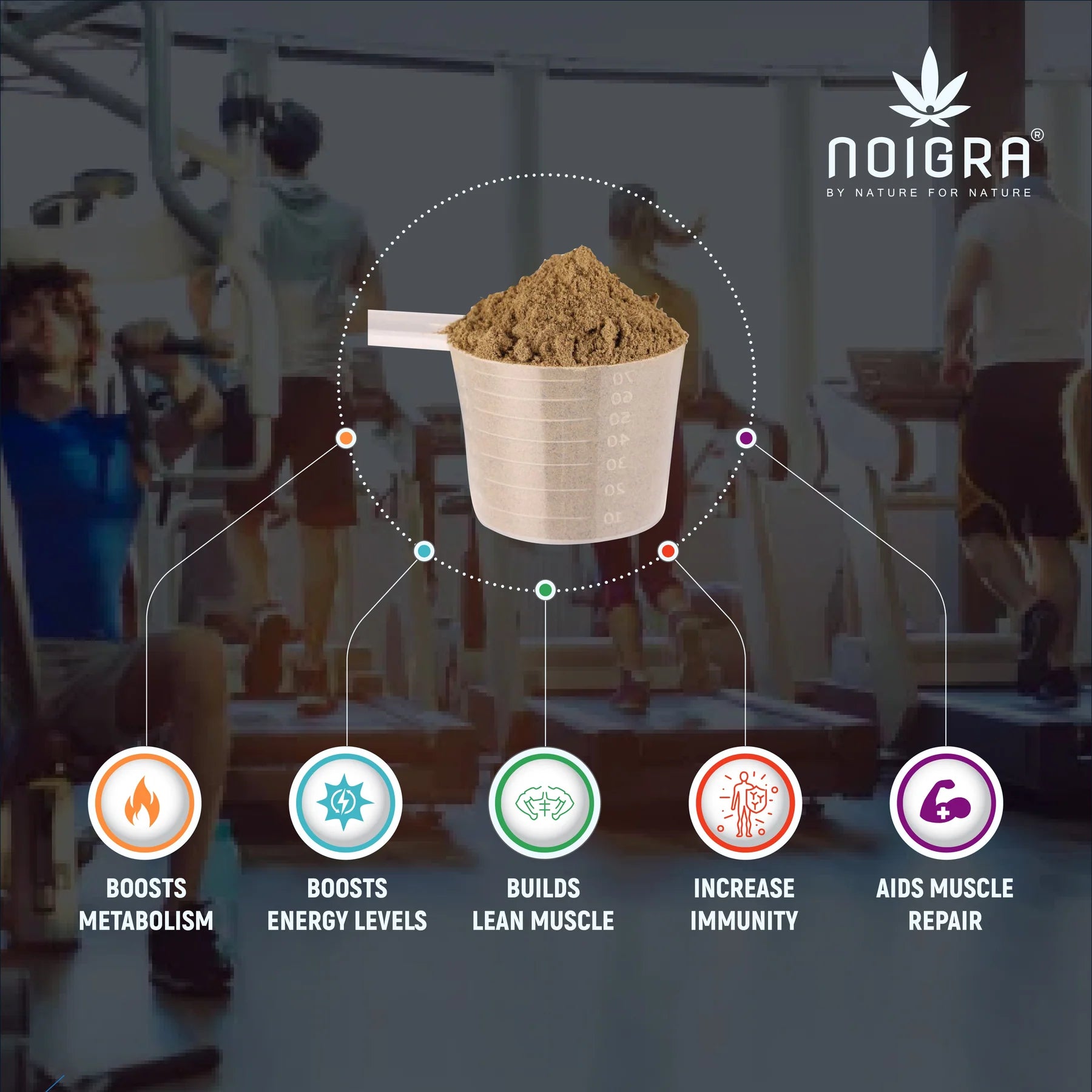 Noigra - Hemp Protein Powder - Natural Flavour