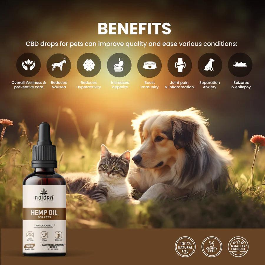 Noigra Hemp Oil For Pets (1000mg)Pet Hemp OilHemp Oil for Pets - Noigra Full-Spectrum | 1000mg CBD