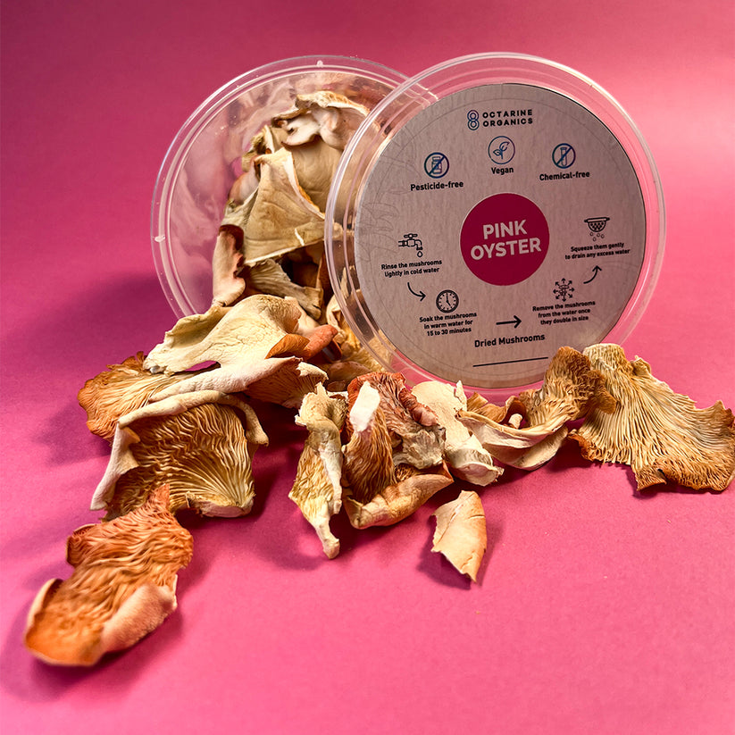 Octarine Organics Dried Oyster Mushrooms – Nutrient-Rich Culinary Superfood
