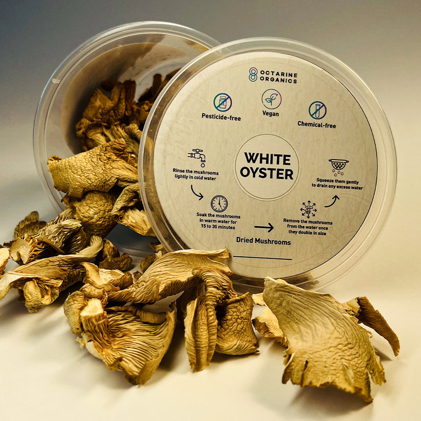 Octarine Organics Dried Oyster Mushrooms – Nutrient-Rich Culinary Superfood