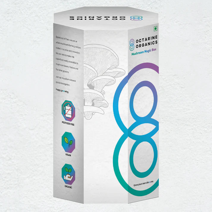 Octarine Organics OO Magic Box | Oyster Mushroom Growing Kit