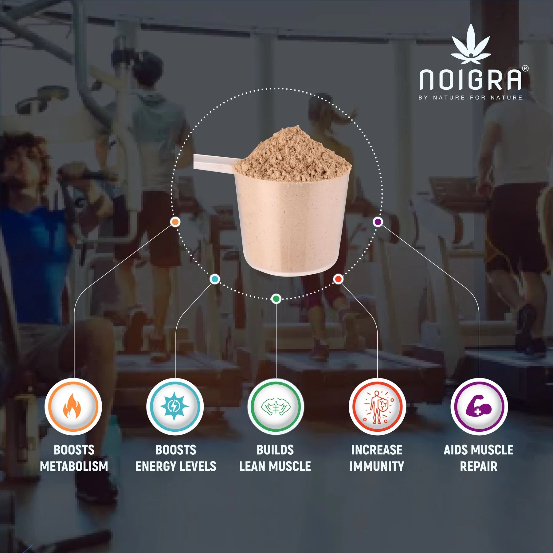 Noigra- Hemp Protein Powder - Chocolate Flavour