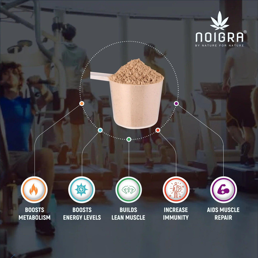 Noigra- Hemp Protein Powder - Chocolate FlavourProtein powderNoigra Hemp Protein Powder Chocolate | 24g Protein, Vegan, Non-GMO