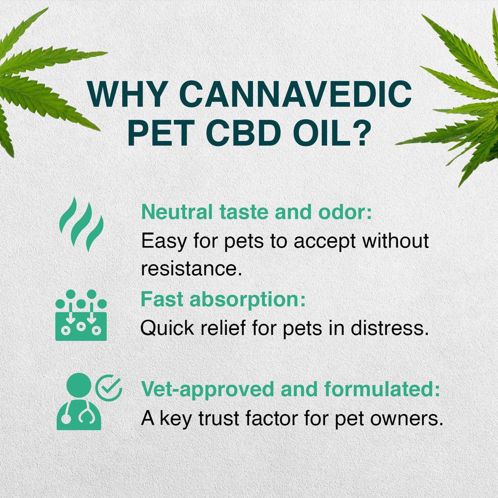 Cannavedic Pet CBD oil – 1500mg | 30ml - 50mg/ml.