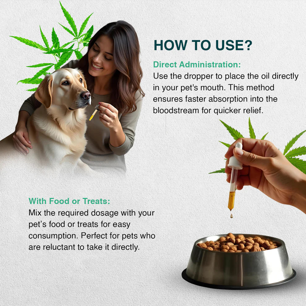 Cannavedic Pet CBD oil – 500mg | 10ml - 50mg/ml.