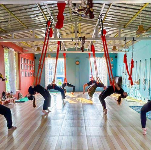 Adiyogam Online Yoga Class : Align and Awaken.