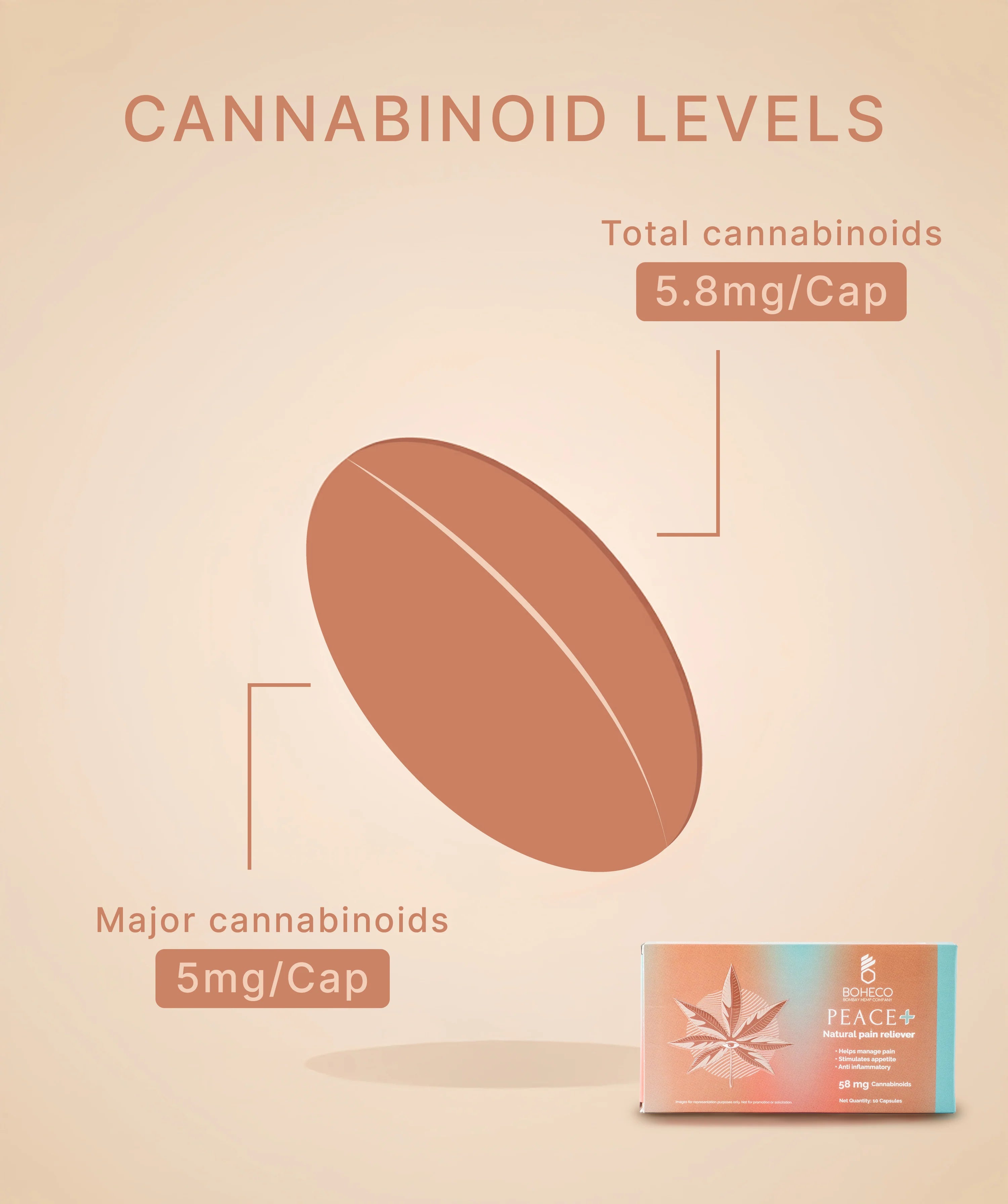 CBD Store India