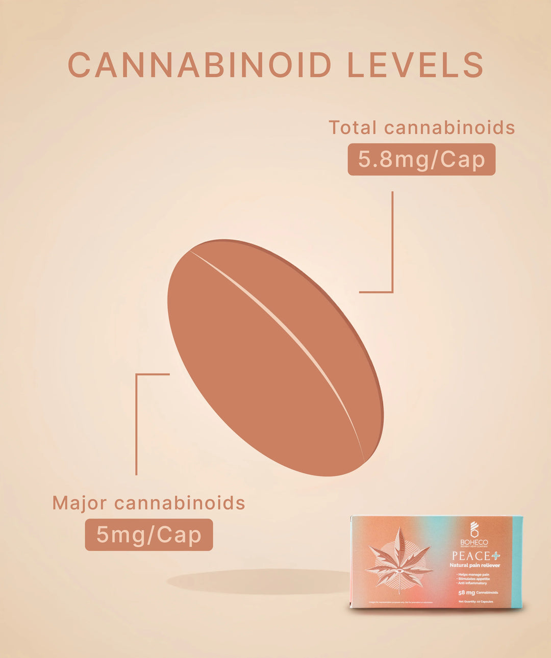CBD Store India