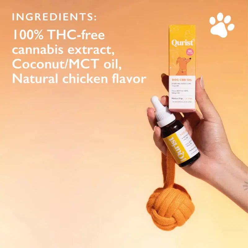 Qurist CBD Oil for Large Dogs - 1800mg (100% THC free).