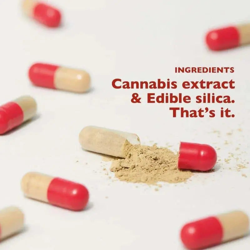 Qurist Painaway - Pain Relief Cannabis Capsules.