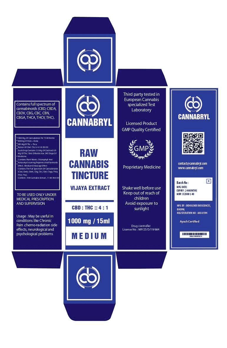 Cannabryl RAW Tincture 4:1 1000 mg 15 ml [CBD Oil Dominant].