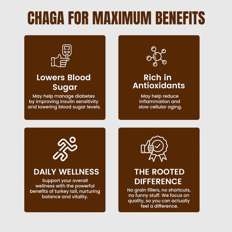Rooted Actives Chaga Mushroom Extract Capsules (60 Veg Caps) | Antioxidant & Immune Support