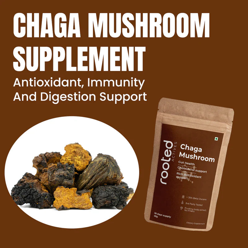 Rooted Actives Chaga Mushroom Extract Powder (45 g) | Antioxidant & Immune Support