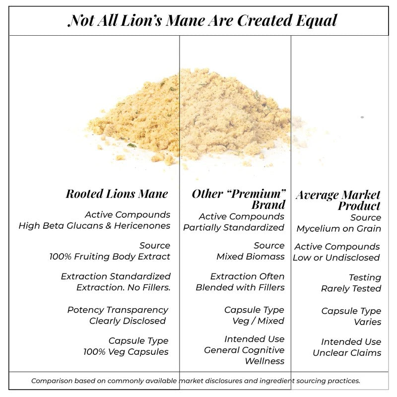 Rooted Actives Lion's Mane Mushroom Extract Powder (60 g) | Focus & Memory Support