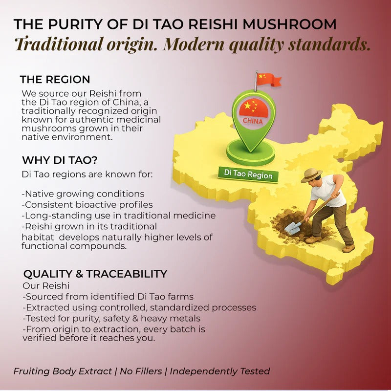 Rooted Actives Reishi Mushroom Extract Powder (60 g) | Calm, Stress Balance & Evening Routine