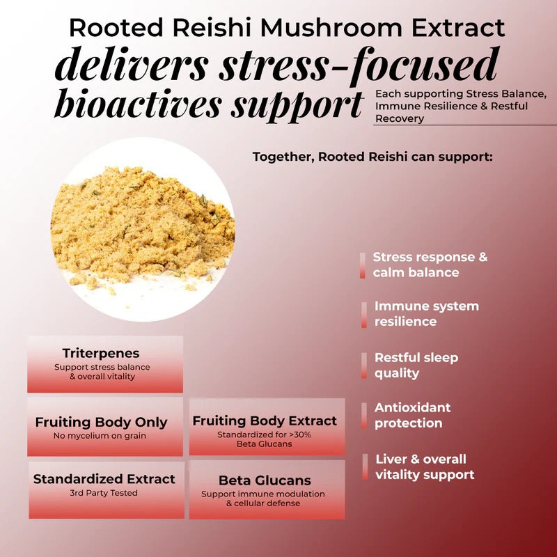 Rooted Actives Reishi Mushroom Extract Powder (60 g) | Calm, Stress Balance & Evening Routine