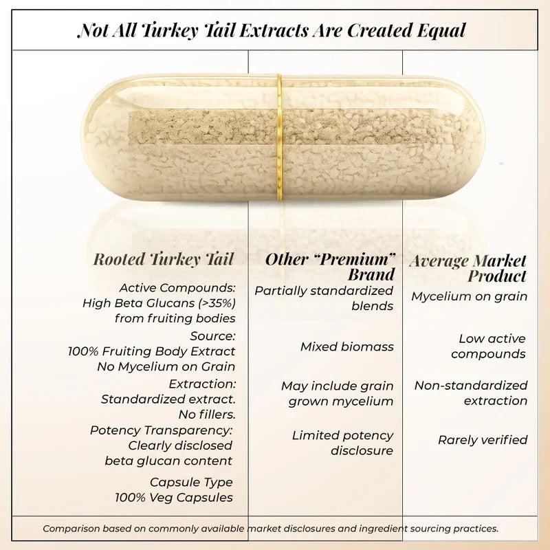 Rooted Actives Turkey Tail Mushroom Extract Capsules (60 Veg Caps) | Gut & Immune Support