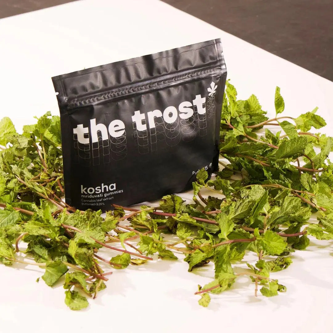 The Trost - Kosha (Cola Flavor) - Extra Strong Cannabis Gummies (Mriduvati) - 9.26% Cannabis Extract.