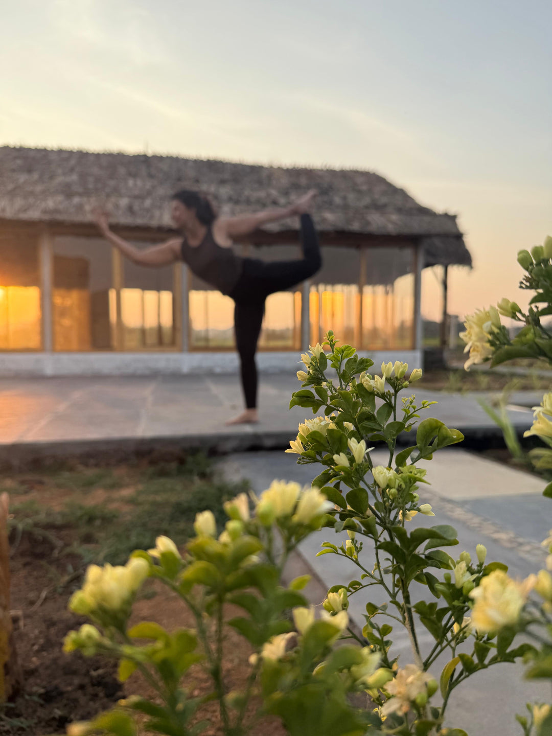 Premium Trauma-Healing Retreat Goa- Deep Release, Renewal & Inner Alignment