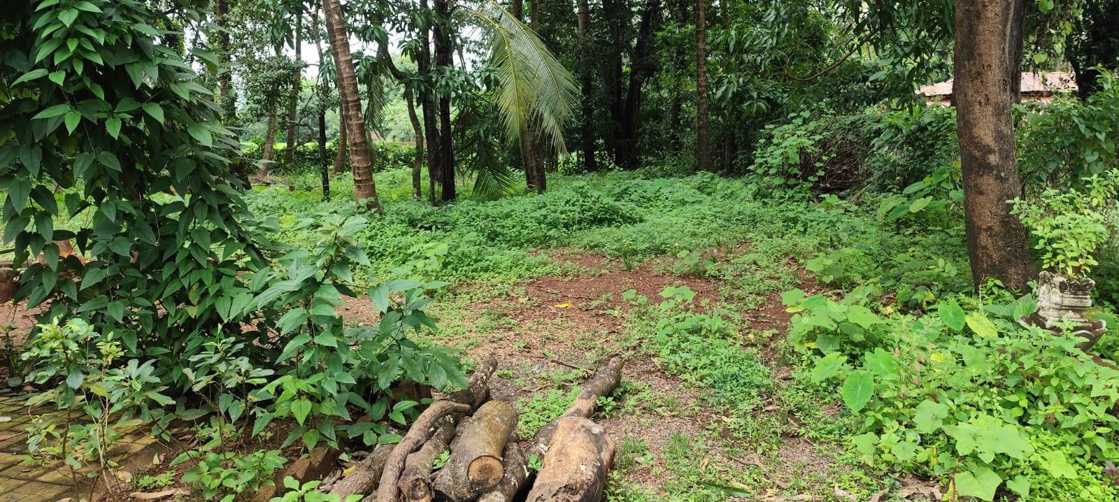 The Master – The Magician’s Nine-Point Process | Six-Day Immersion with Kelian Kamil Kyra & Team.