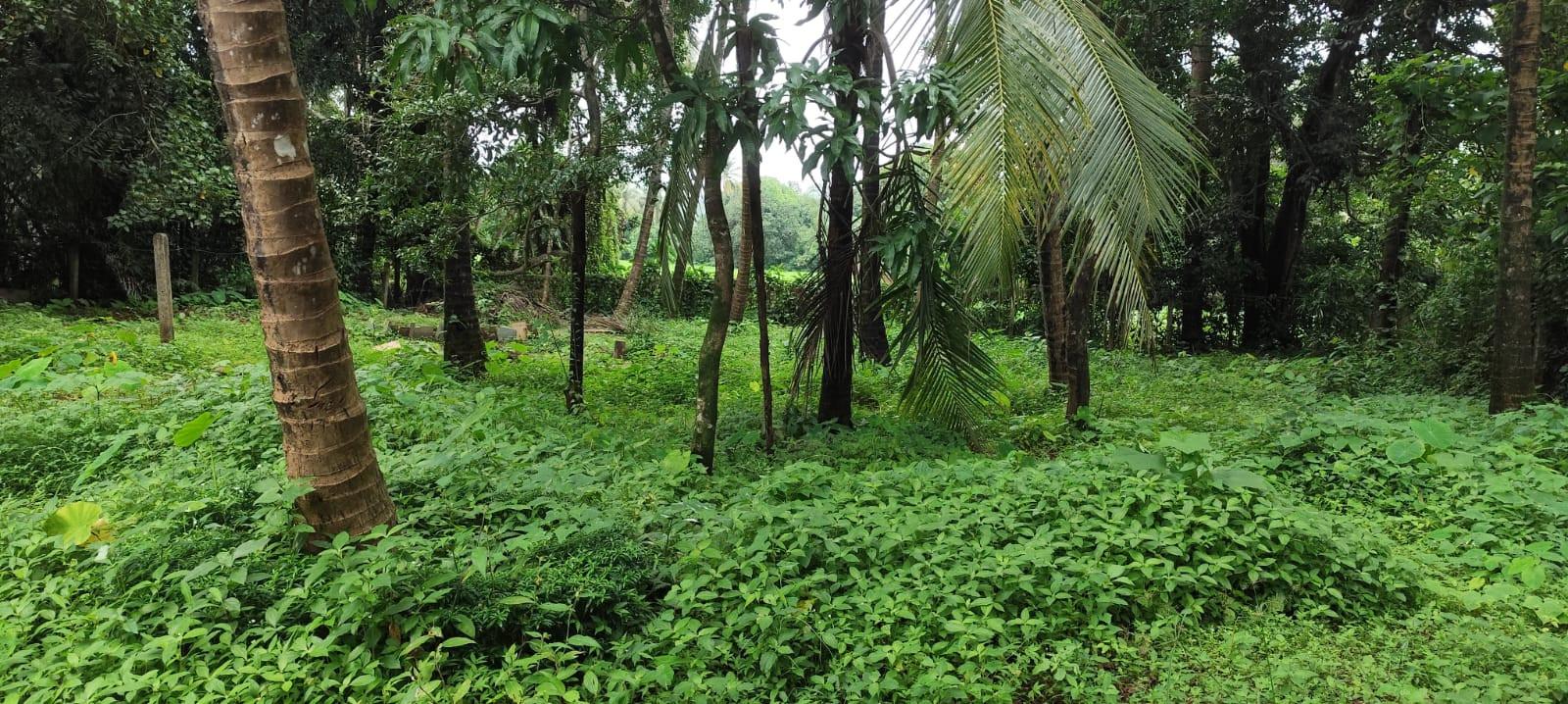 The Master – The Magician’s Nine-Point Process | Six-Day Immersion with Kelian Kamil Kyra & Team.