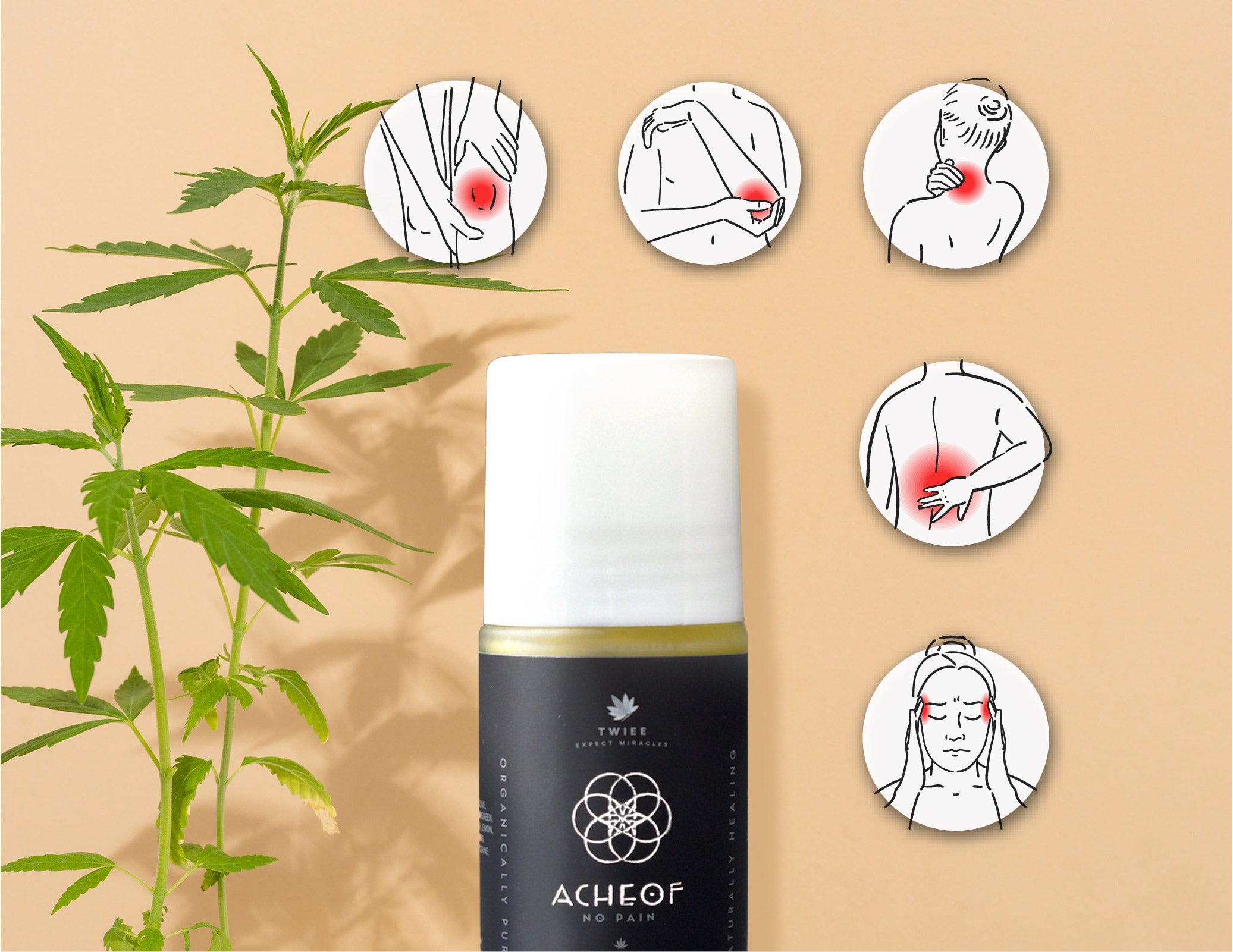 Twiee Acheof | No Pain Roll-On 50ml