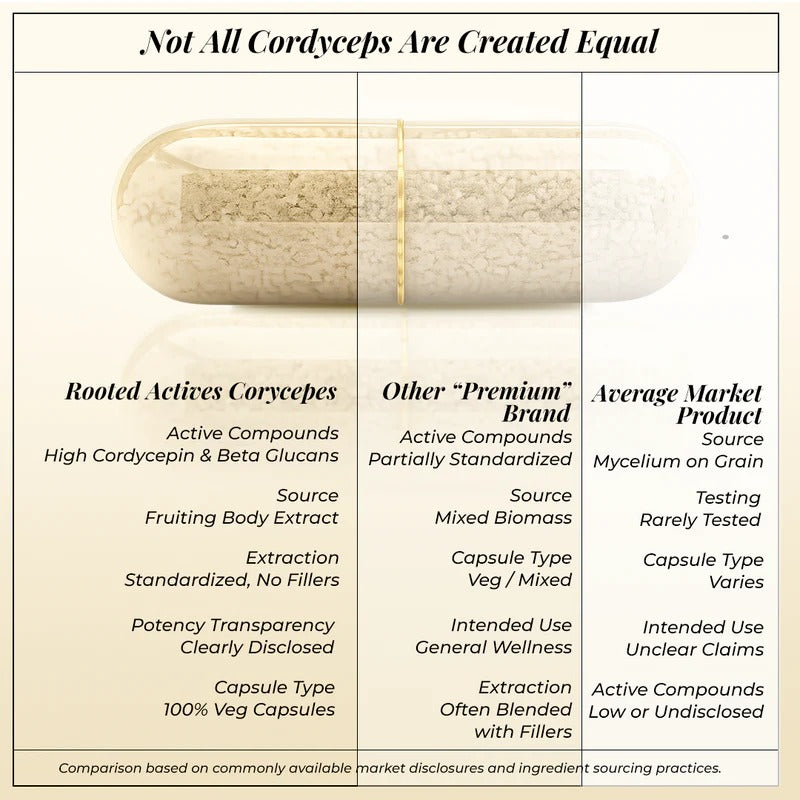 Rooted Actives Cordyceps Militaris Extract Capsules - Adenosine & Cordycepin Standardised | Everyday Energy Routine