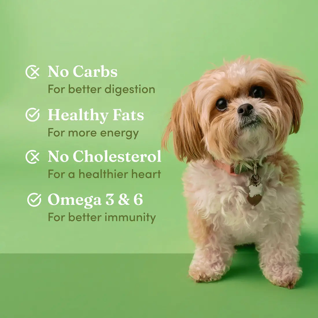 Vedic Tails Hemp Seed Oil for Dogs Cats 50ml | Topical, Oral