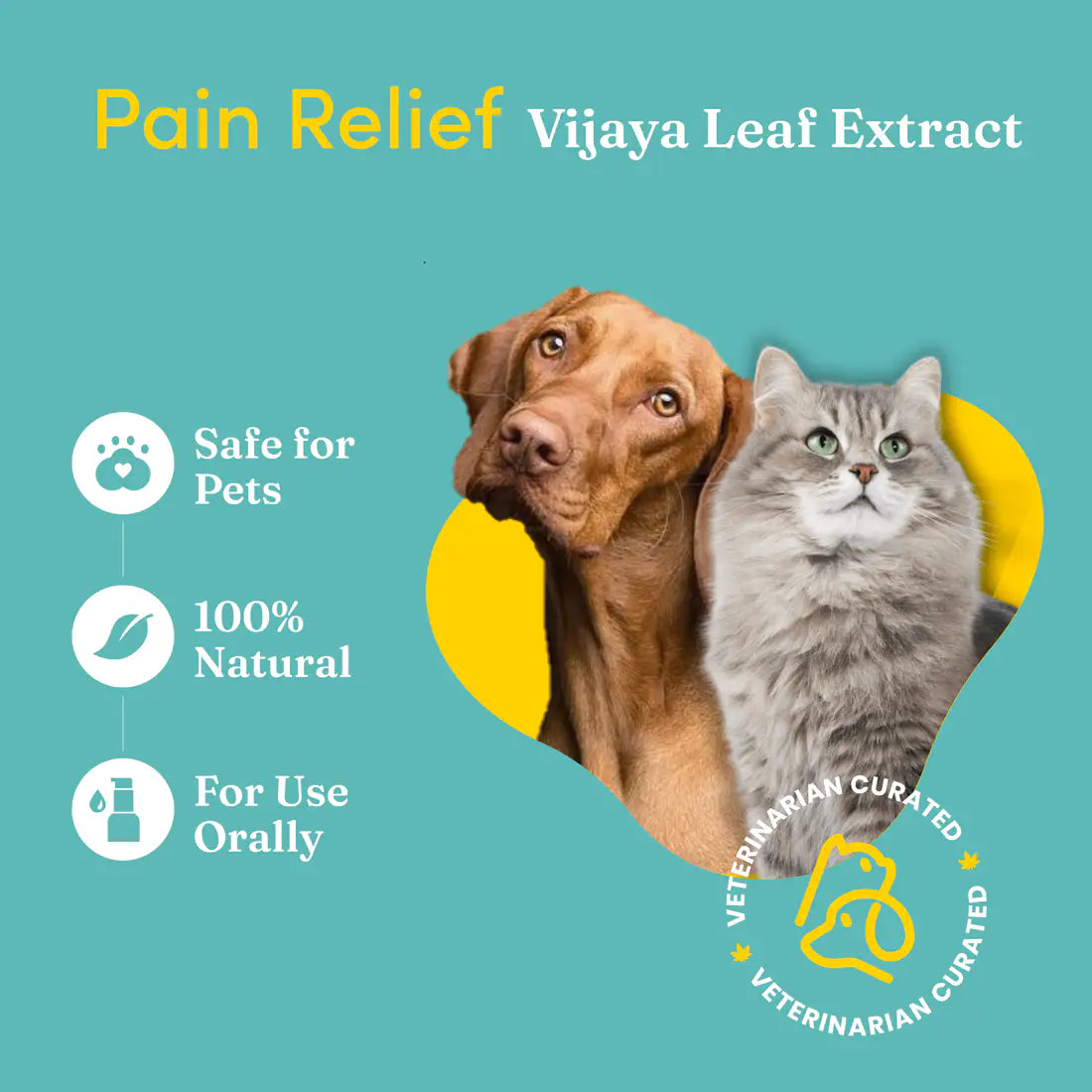 Vedic Tails Pain Relief Oil for Dogs Cats | Vijaya Leaf Extracts -30 ml.