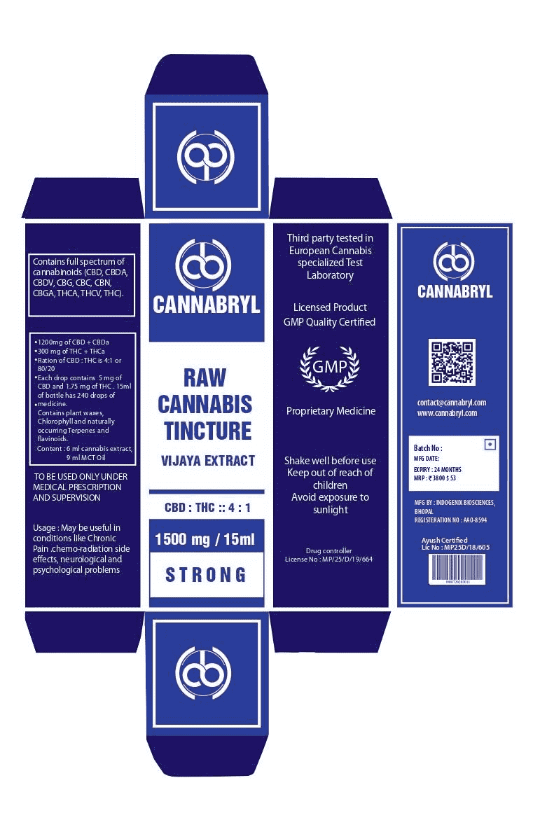 Cannabryl - Raw Vijaya Tincture 4:1 - 1500mg CannabinoidsVajaya Extract