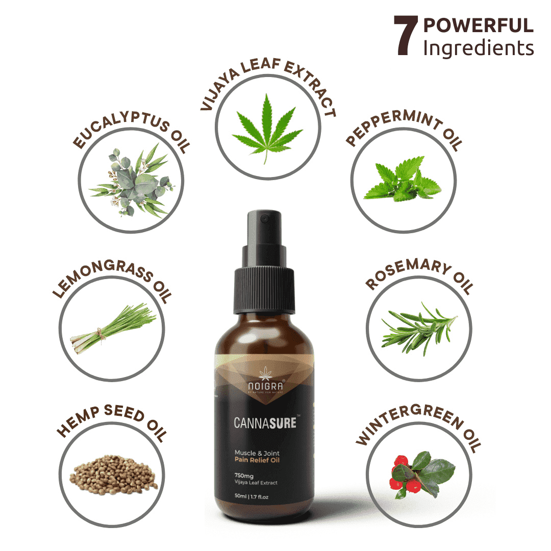 Cannasure - Muscle & Joint Pain Relief Cannabis Lotion 50 mlCBD Topical