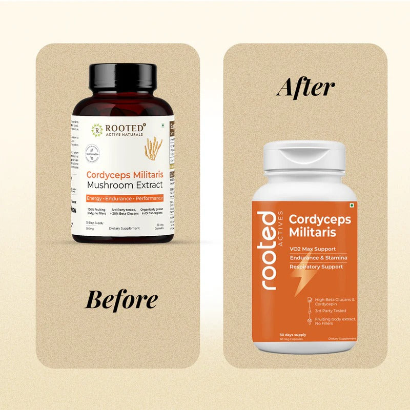 Rooted Actives Cordyceps Militaris Extract Capsules - Adenosine & Cordycepin Standardised | Everyday Energy Routine