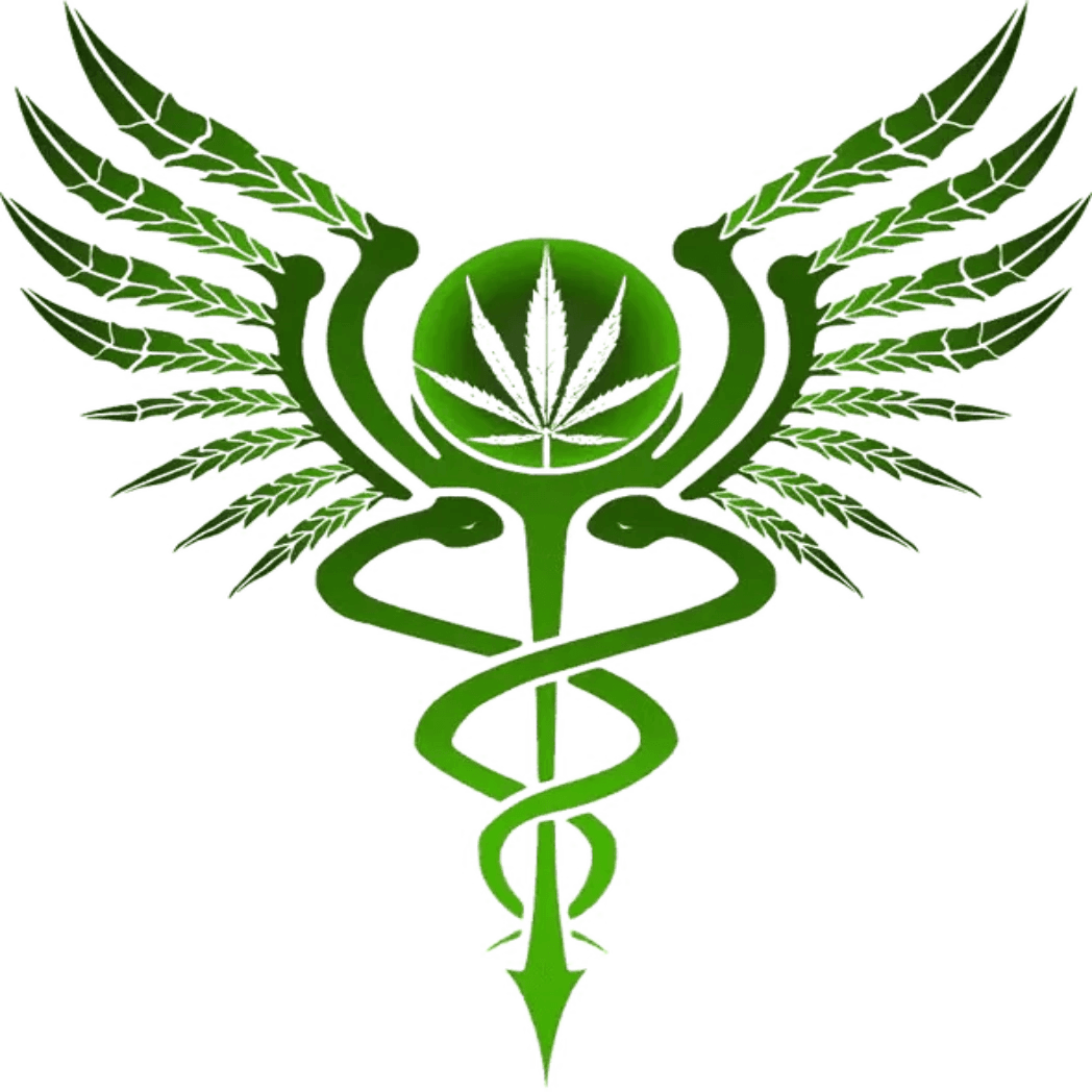 Doctor's Consultation.