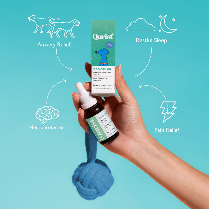 Qurist CBD Oil for Large Dogs - 1800mg (100% THC free).