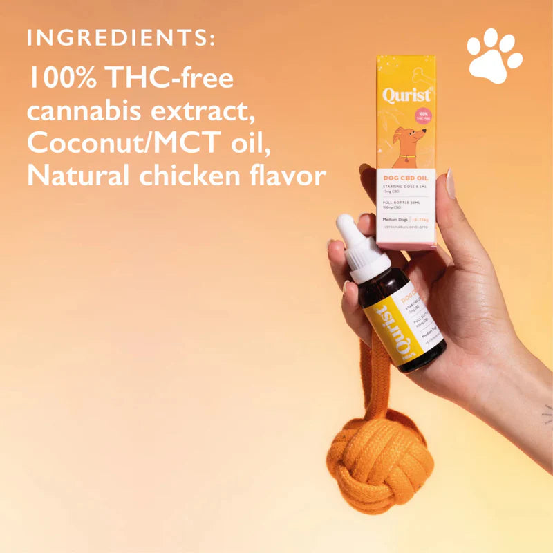 CBD Store India