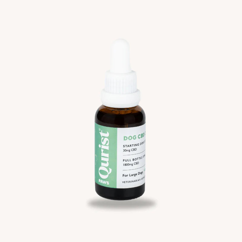 CBD Store India