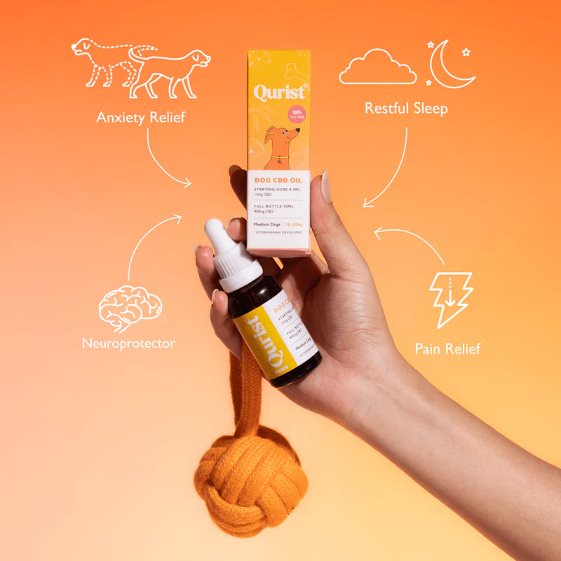 Qurist CBD Oil for Small Dogs - 450mg (100% THC free) : Chicken.