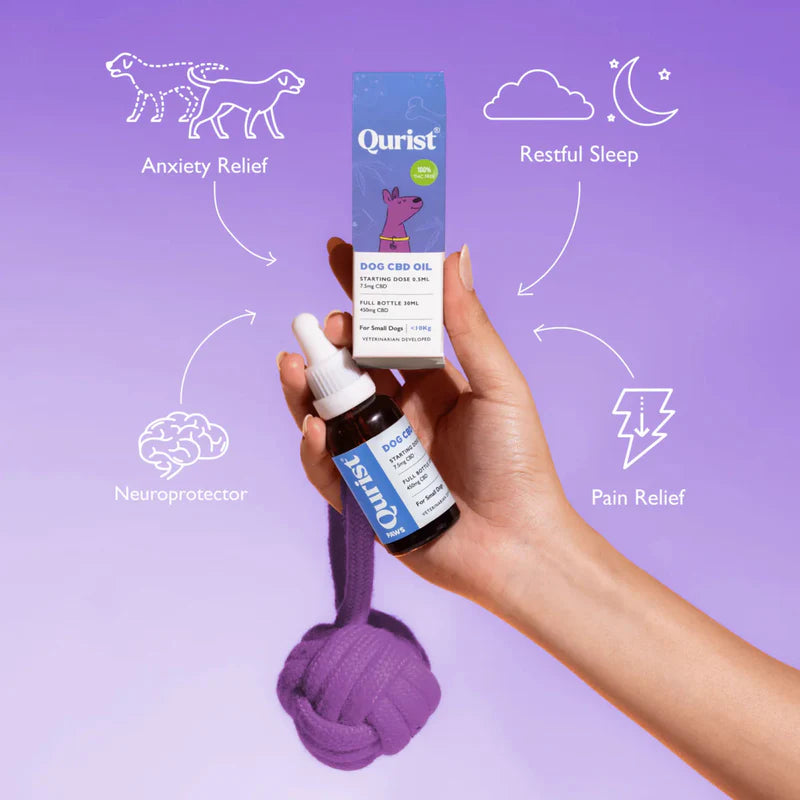 Qurist CBD Oil for Small Dogs - 450mg (100% THC free) : Chicken.