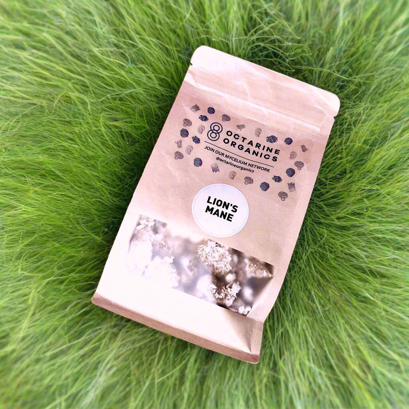 Octarine Organics Dried Lion’s Mane Mushrooms – Brain & Focus Support