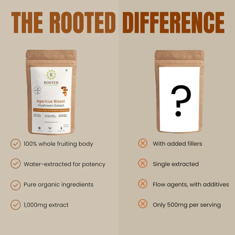 Rooted Actives Agaricus Blazei (ABM) Mushroom Extract Powder - Mix-In Medicinal Mushroom Powder