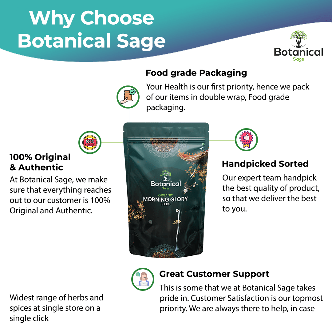 Morning Glory Seeds - Leanbeing Healthcare  - Morning Glory Seeds