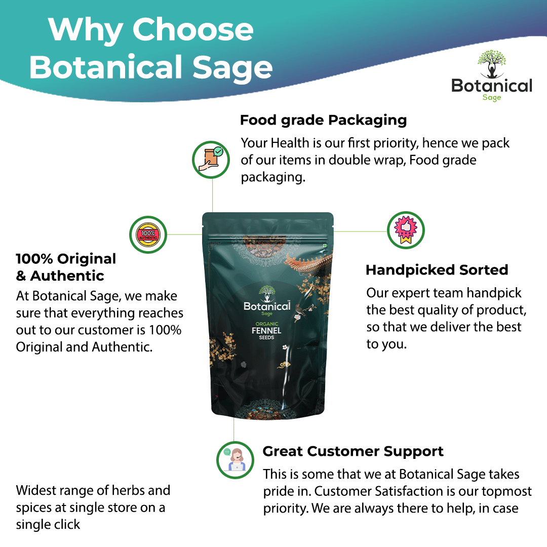 Leanbeing Healthcare  - Fennel Seeds.