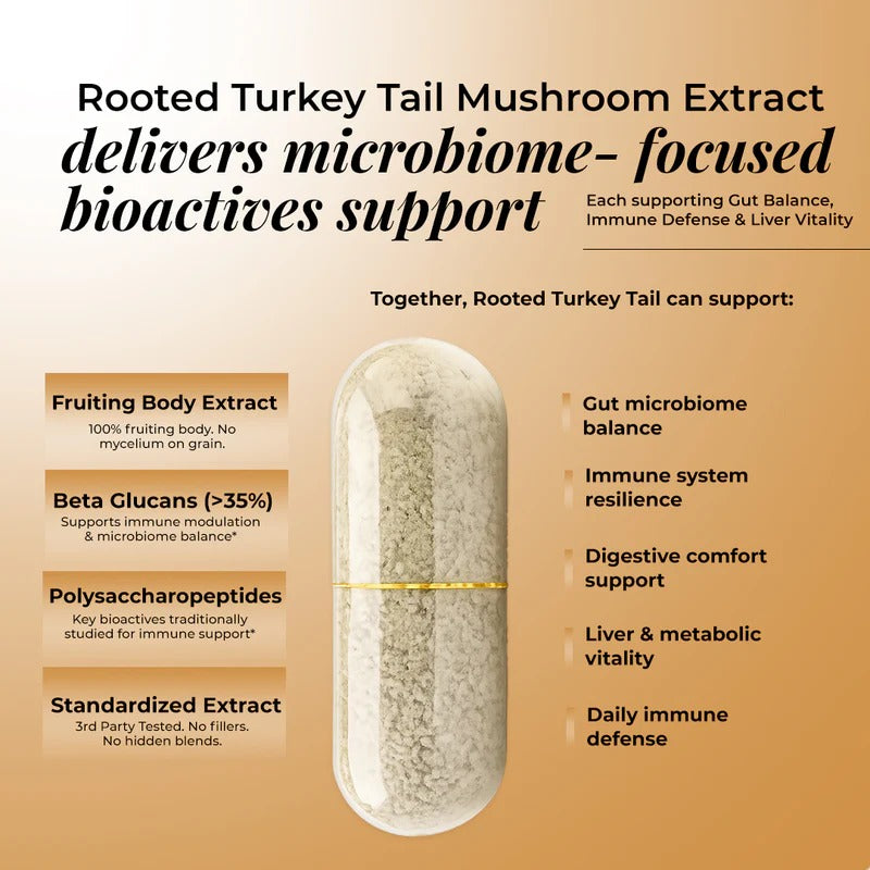 Rooted Actives Cordyceps Militaris Extract Capsules - Adenosine & Cordycepin Standardised | Everyday Energy Routine