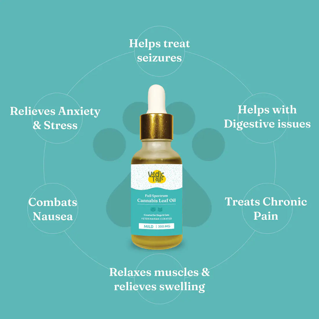 Vedic Tails Pain Relief Oil for Dogs Cats | Vijaya Leaf Extracts -30 ml