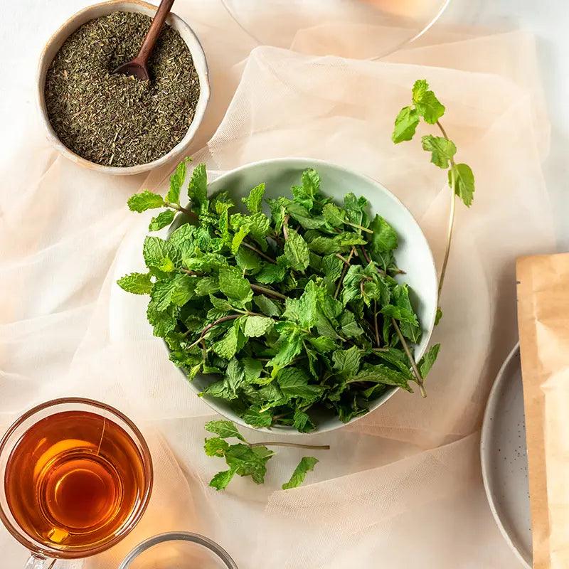 Butterfly Ayurveda Mint Leaf Infusion.