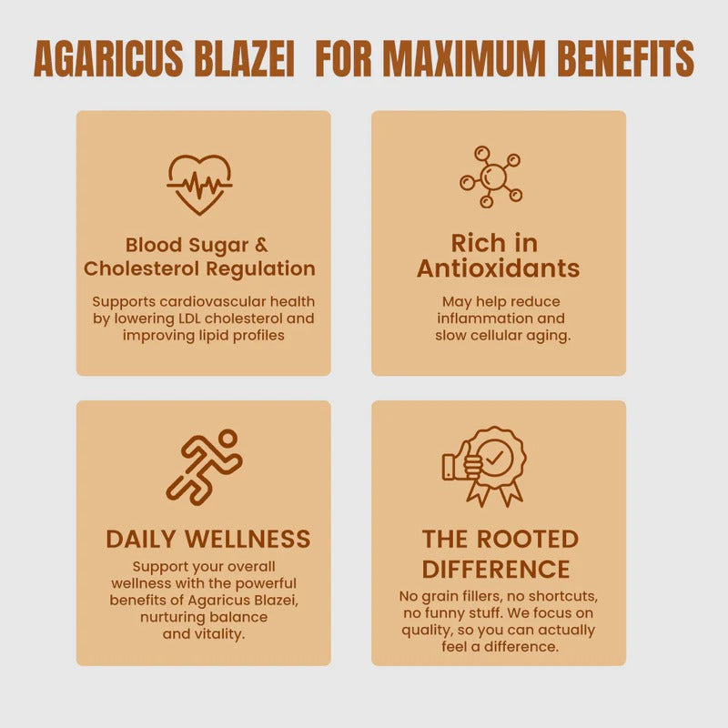 Rooted Actives Agaricus Blazei (ABM) Mushroom Extract Powder - Mix-In Medicinal Mushroom Powder