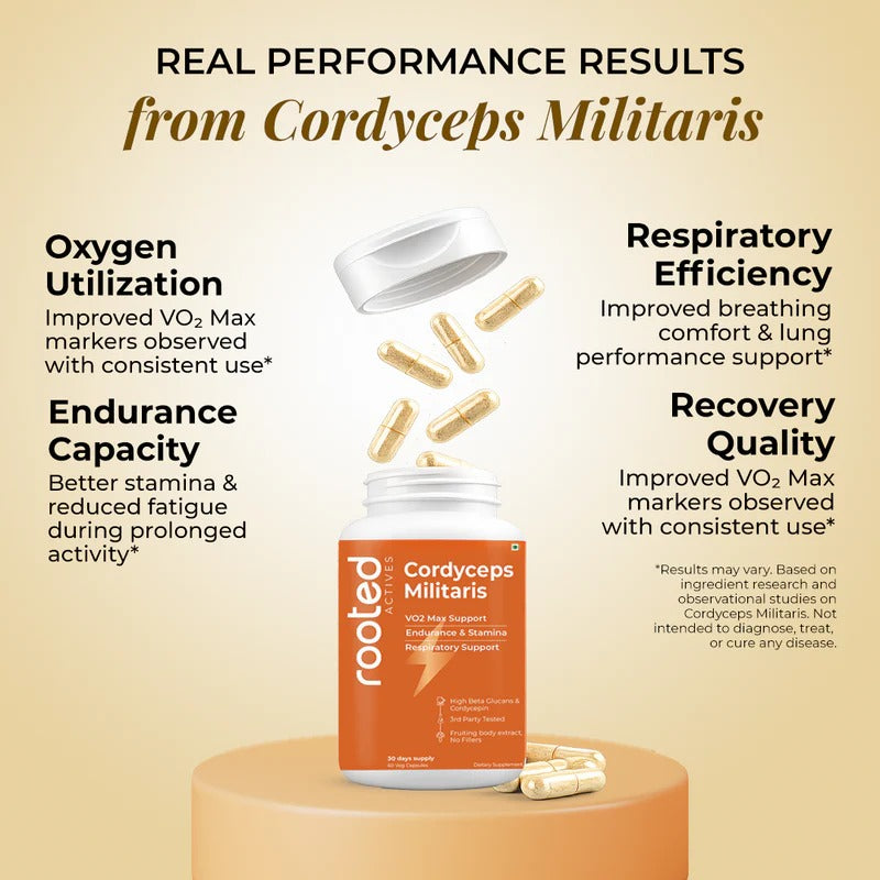 Rooted Actives Cordyceps Militaris Extract Capsules - Adenosine & Cordycepin Standardised | Everyday Energy Routine