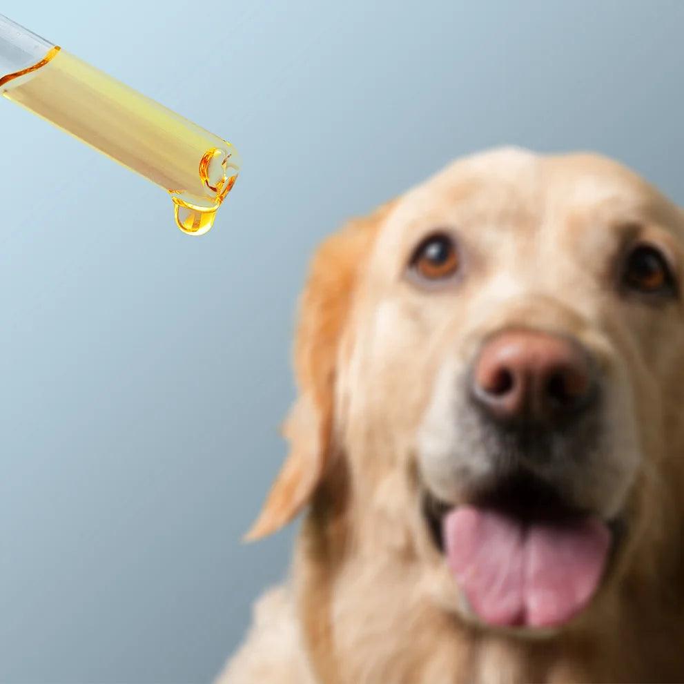 Cannaking- Pet Heal Oil (oral) - 1500 mg (30ml)Pet Hemp OilCannaking Pet CBD Oil - Oral 1500mg | Eases Anxiety & Pain